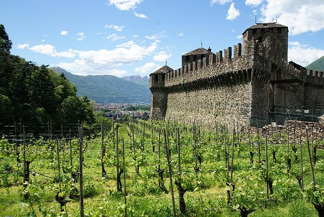 0147_bellinzona.jpg
