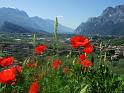 2008-05-Tirol-Trentino